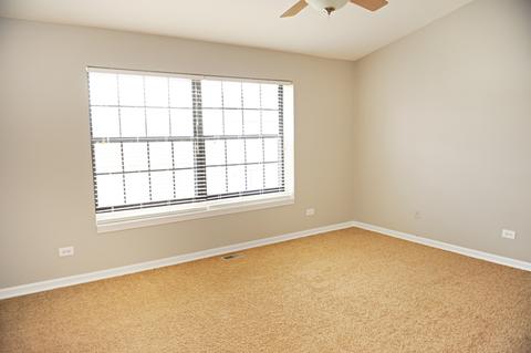 4584 Topaz Dr, Hoffman Estates, IL 60192 photo 18
