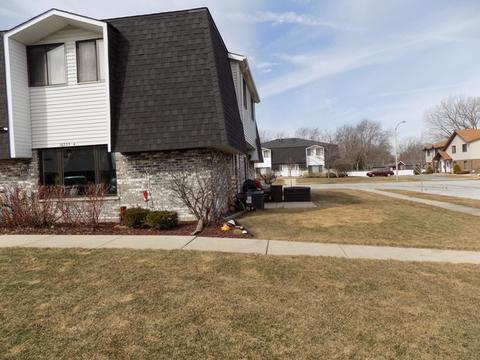 16233 Apple Ln #4, Tinley Park, IL 60487 photo 2