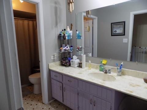 16233 Apple Ln #4, Tinley Park, IL 60487 photo 7