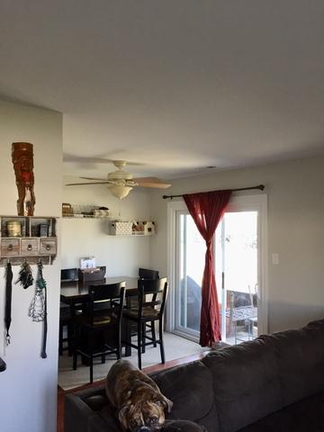 16233 Apple Ln #4, Tinley Park, IL 60487 photo 4