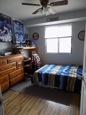 16233 Apple Ln #4, Tinley Park, IL 60487 photo 10