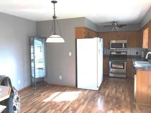 330 N Walker St, Braidwood, IL 60408 photo 9