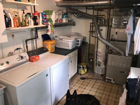 1120 S Prospect St, Wheaton, IL 60189 photo 38