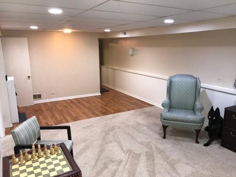 1120 S Prospect St, Wheaton, IL 60189 photo 27