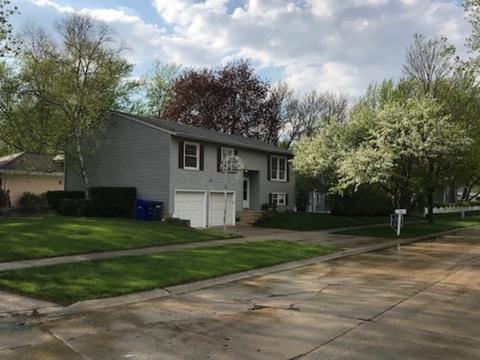 1120 S Prospect St, Wheaton, IL 60189 photo 1