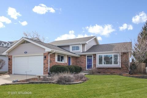 1618 Hinterlong Ln, Naperville, IL 60563 photo 1