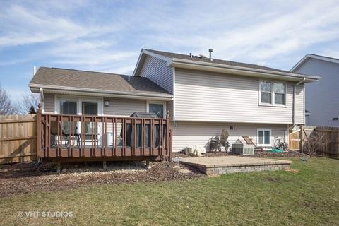 1618 Hinterlong Ln, Naperville, IL 60563 photo 15
