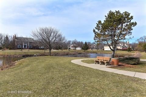 561 87th St, Burr Ridge, IL 60527 photo 29
