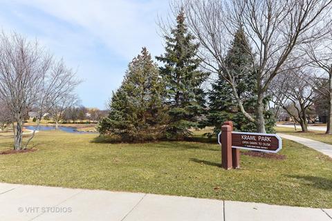 561 87th St, Burr Ridge, IL 60527 photo 28