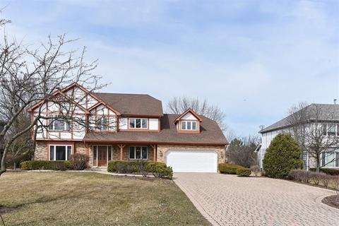 561 87th St, Burr Ridge, IL 60527 photo 1