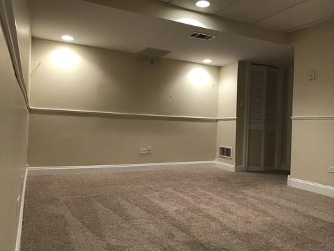 1602 Cannon Ct, Wheaton, IL 60189 photo 11