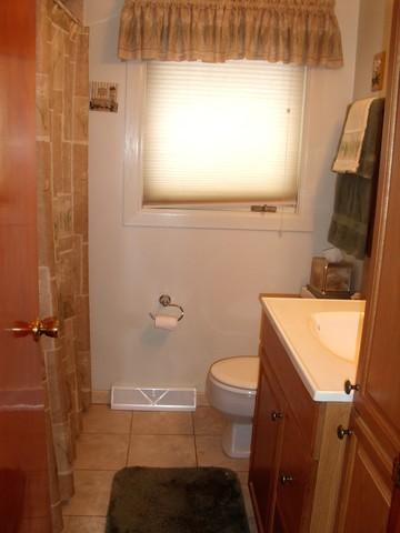 3803 153rd Pl, Midlothian, IL 60445 photo 9