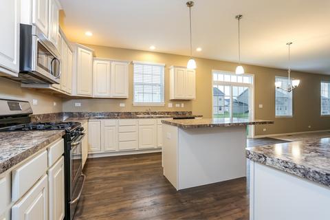 25636 W Cerena Cir, Plainfield, IL 60586 photo 4