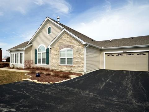 16623 S Fox Run Cir, Plainfield, IL 60586 photo 19