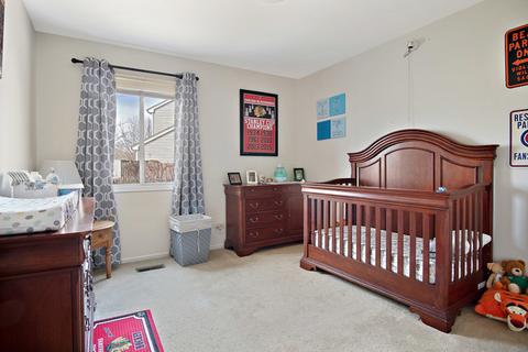 1210 Appleton Ln, Geneva, IL 60134 photo 20