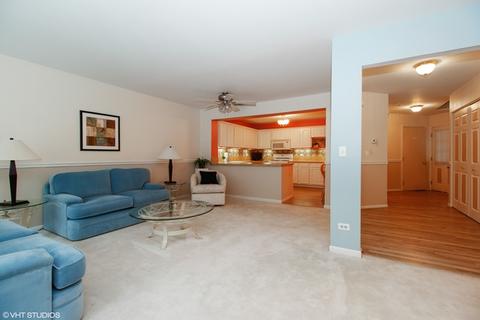 3136 Reflection Dr, Naperville, IL 60564 photo 3