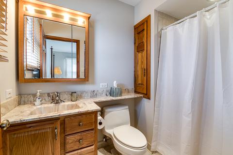 1546 Huntleigh Dr, Wheaton, IL 60189 photo 13