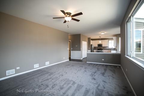 14701 Meadow Ln, Plainfield, IL 60544 photo 9