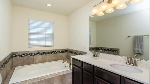 12929 White Pine Way, Plainfield, IL 60585 photo 29