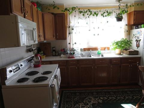 5259 S Kenneth Ave, Chicago, IL 60632 photo 5