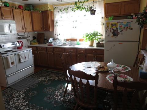 5259 S Kenneth Ave, Chicago, IL 60632 photo 13