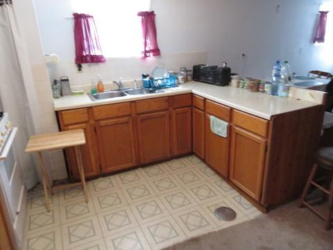 5259 S Kenneth Ave, Chicago, IL 60632 photo 21