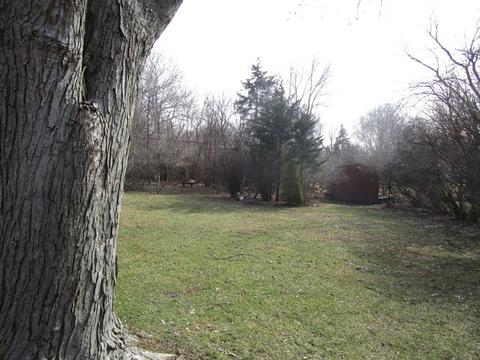 741 Riedy Rd, Lisle, IL 60532 photo 7