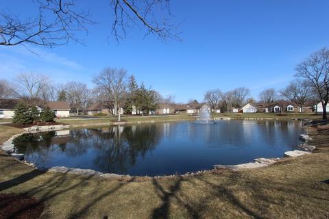 5 Hampton On Auburn Dr, Rolling Meadows, IL 60008 photo 28