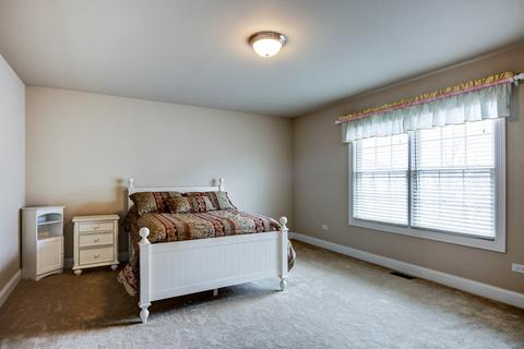 13134 Taylor St, Plainfield, IL 60585 photo 36