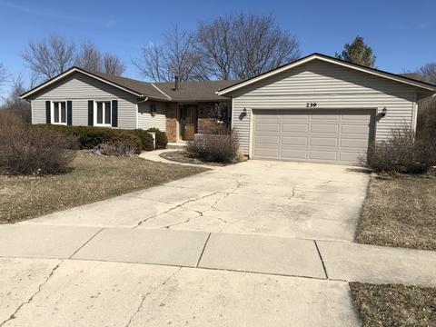 239 Brookside Dr, Elgin, IL 60123 photo 1