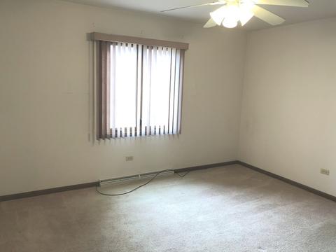 239 Brookside Dr, Elgin, IL 60123 photo 11