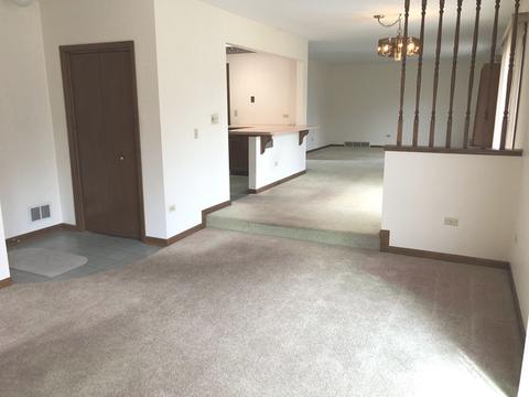 239 Brookside Dr, Elgin, IL 60123 photo 5