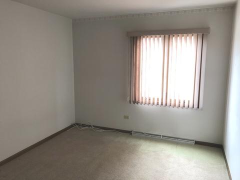 239 Brookside Dr, Elgin, IL 60123 photo 15