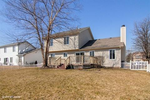 2416 Durango Ln, Naperville, IL 60564 photo 15