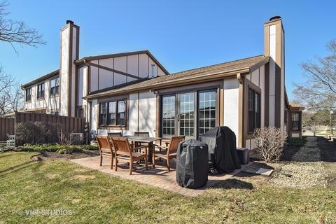 913 Wheaton Oaks Dr, Wheaton, IL 60187 photo 14