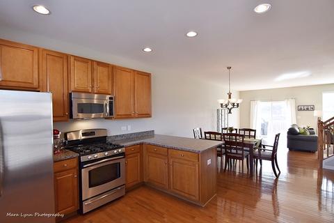 272 Cassidy Ln, Elgin, IL 60124 photo 3