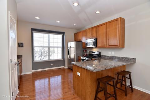 272 Cassidy Ln, Elgin, IL 60124 photo 5