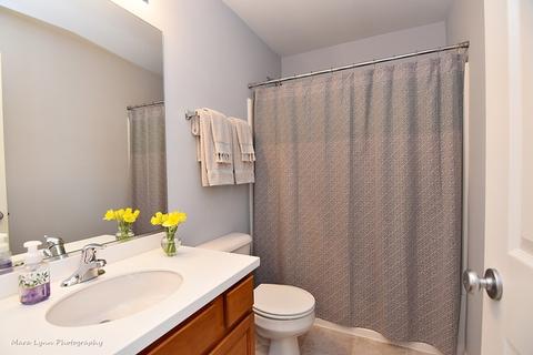 272 Cassidy Ln, Elgin, IL 60124 photo 24