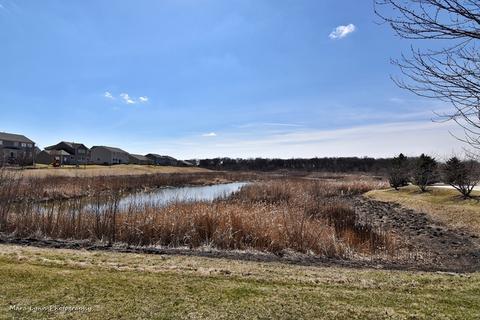 272 Cassidy Ln, Elgin, IL 60124 photo 37