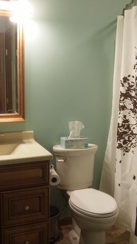 1111 N Briar Ave, Kankakee, IL 60901 photo 13