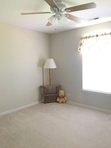 300 Summerdale Ln, Algonquin, IL 60102 photo 19