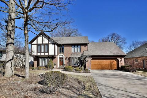 650 E Holly Ct, Addison, IL 60101 photo 1