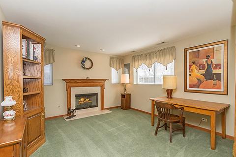 930 Emerald Dr, Pingree Grove, IL 60140 photo 21