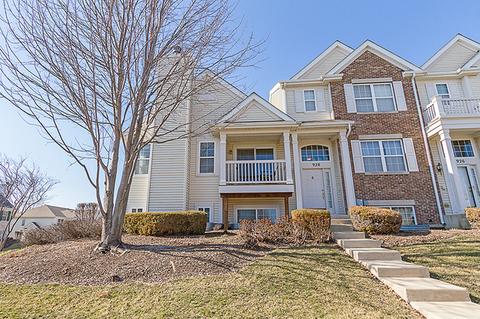 930 Emerald Dr, Pingree Grove, IL 60140 photo 29