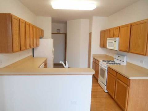 21047 W Braxton Ln, Plainfield, IL 60544 photo 3