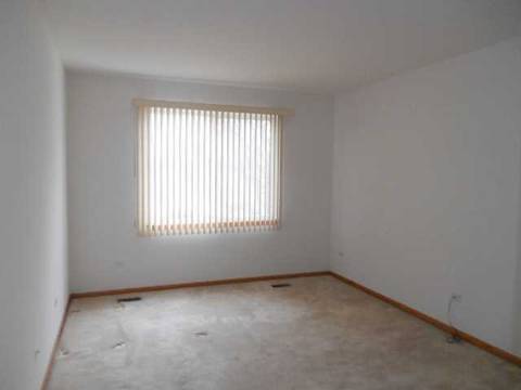 21047 W Braxton Ln, Plainfield, IL 60544 photo 4