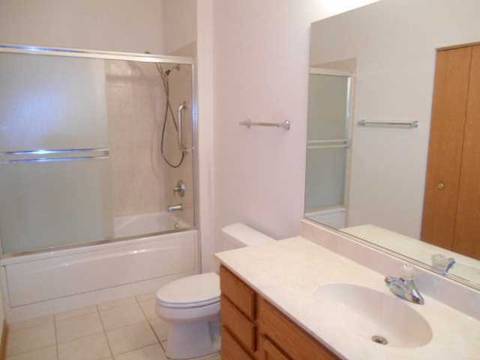 21047 W Braxton Ln, Plainfield, IL 60544 photo 5