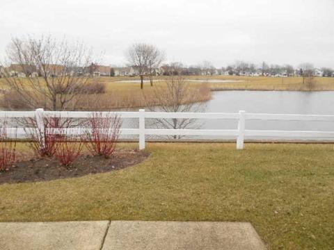 21047 W Braxton Ln, Plainfield, IL 60544 photo 8