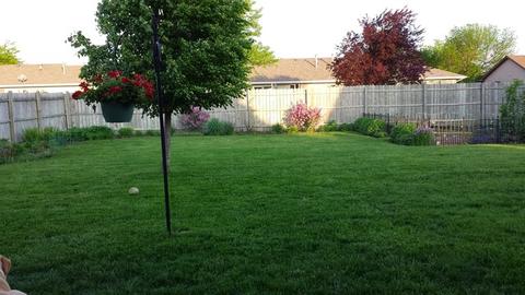 1400 9th St, Harvard, IL 60033 photo 28