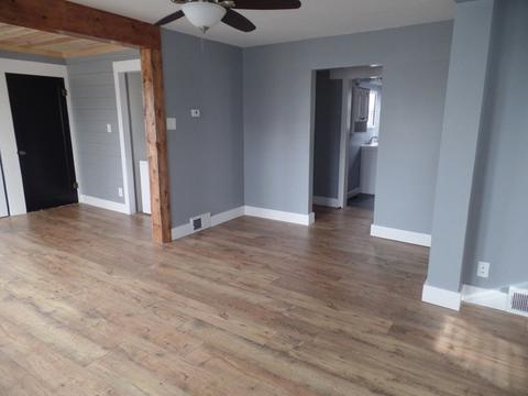 232 S Brush Ave, Ladd, IL 61329 photo 7